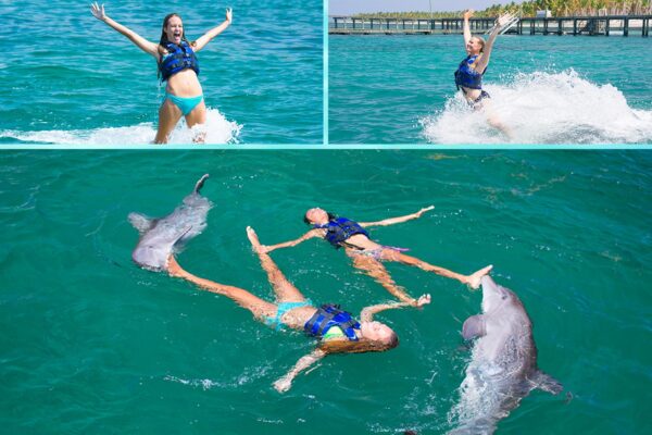 Dolphin Avanzado - PUNTA CANA - Tour / Excursiones - Stay Happy RD -- 2