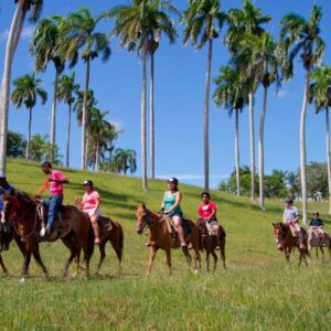 Safari Tour Rancho Cacao & Café - PUNTA CANA - Tour / Excursiones - Stay Happy RD -- 1