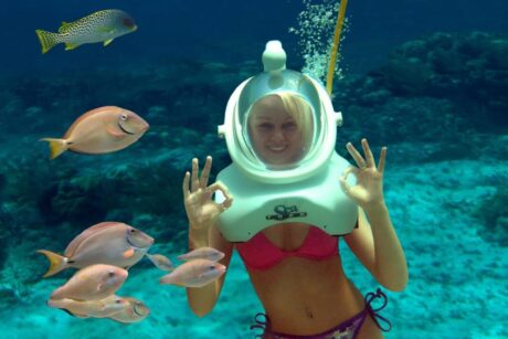 Seaquarium - PUNTA CANA - Tour / Excursiones - Stay Happy RD -- 1